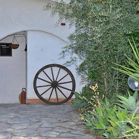 Africa Guest house